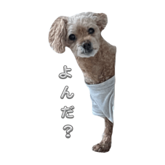 Coron_20251229223239