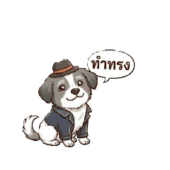 white_20251229141253