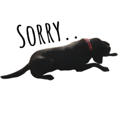 Misanthropic Animals