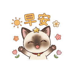 圈圈Yuan Yuan圈圈