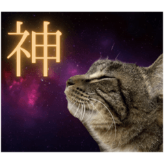 nyaon_20251229204753