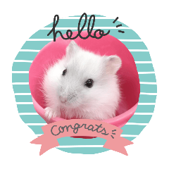 hamuta_20251229231956