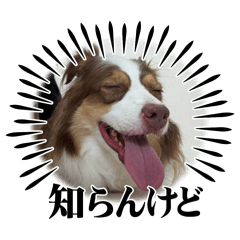 arikooo1222_20251229232529