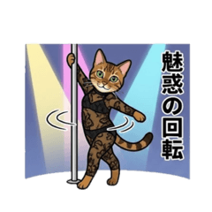 DonGabacho_20251229233203