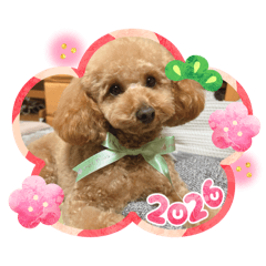 kurumi_20251230080513