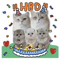 ครอบครัวตัวฟอร์