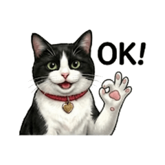 貓咪-熊熊的日常用語