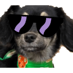 shino_20251229210510