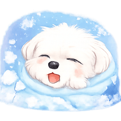 Ayushi_20251229210956