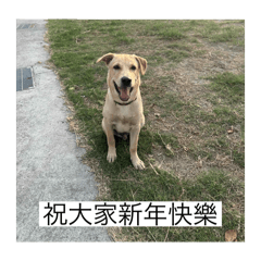 家有萌萌