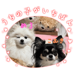 TAKAYUKI_20251230014555