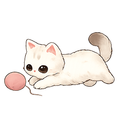 ｜英短貓咪：小寶｜生活日常實用貼圖01