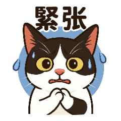 好主意黑白貓「三」