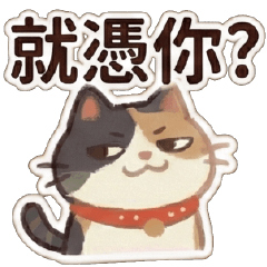 幹話貓咪♥嗆人特輯