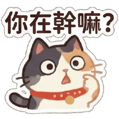 幹話貓咪♥幹嘛特輯