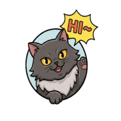 VV the Cat: Grumpy but Sweet