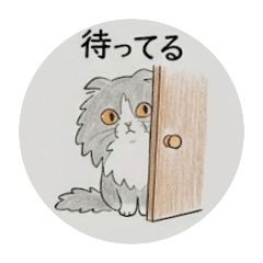 comchi_20251229221712