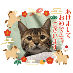 kaori_20251229221859