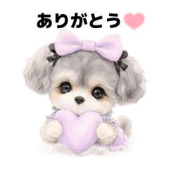 maimai_20251229221810