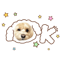 noriko_20251230110756