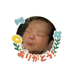 kinakomochi.1223_20251230113022