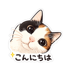 sept chats_20251230113049