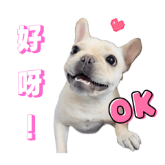 世界破破爛爛 小狗縫縫補補