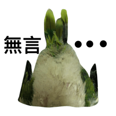 The happy time of bird treasure