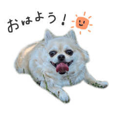 creoni_20251229224720