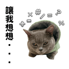 英短藍貓-英藍紳士藍莓醬的假鬼假怪日常