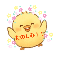 yuka_20251230114354