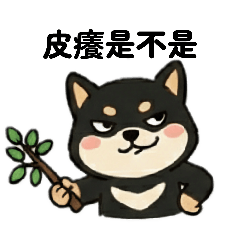 龍龍的日常用語