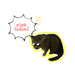 Chaweewan_20251229201015