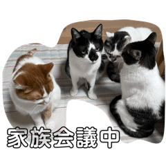 sept chats_20251229234847