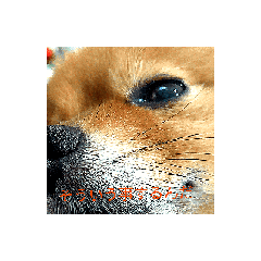 ponkichi_20251230120723