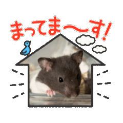 karaage_20251230125127