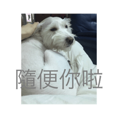 偶執擬啦