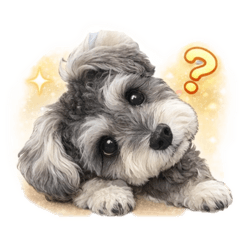 chika_20251230132129