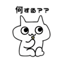 Everyday Cat Conversations