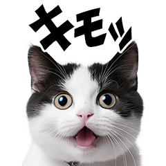 *Cat Emotions (Pop-up)