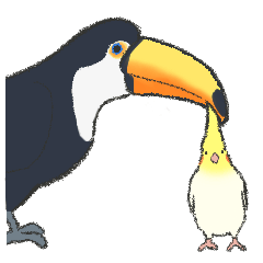 Cockatiel and Great Hornbill