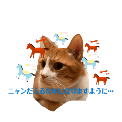 猫 happy new year