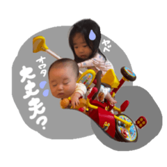 sacha_20251230063156