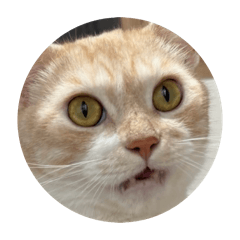 yuhki_20251230152153