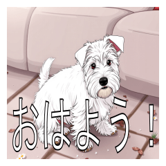 Lots of Sealyham Terriers