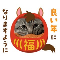 yuka_20251230090842