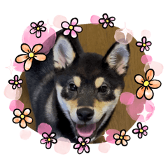 smile_20251230092046