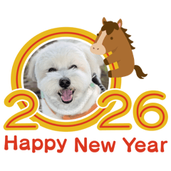 ayumi_20251230094840