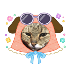 youkou_20251230095626