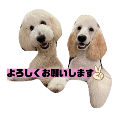 tmkdayo_20251230150111